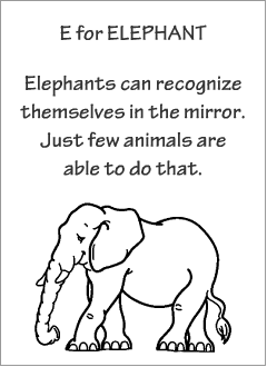 English printable resources: Elephant readers
