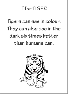 English printable resources: Tiger readers