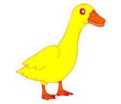 English vocabulary: duck