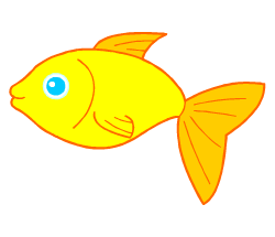 Fish fun facts for kids learning English