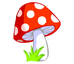 ESL vocabulary words: mushroom