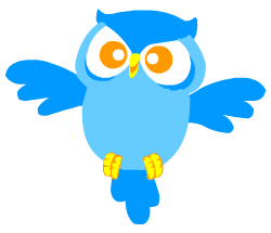 Owl fun facts for kids learning English