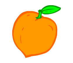 English vocabulary: peach