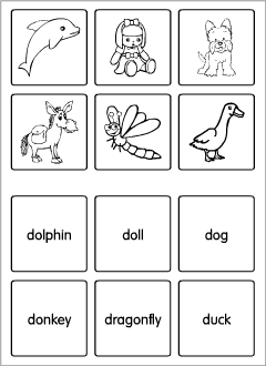 D-words flashcards