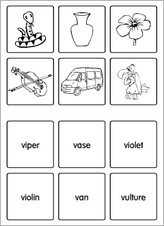 V-words flashcards