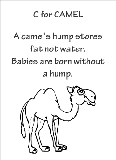English printable resources: Camel readers