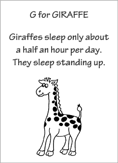 English printable resources: Giraffe readers