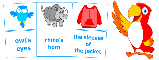 English grammar for kids: possessive nouns flashcards