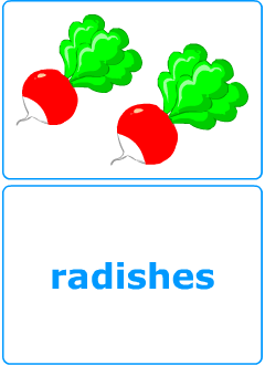 Flashcards to learn English nouns