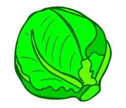 English vocabulary: cabbage