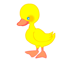 English words: duckling