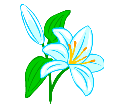 English words: lily