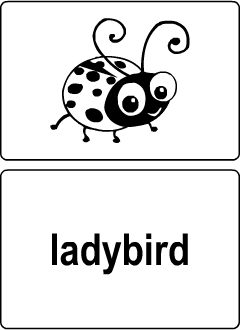 Flashcards for teaching English to kids