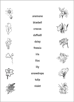 Spring Flowers vocabulary for kids learning English | Picture test