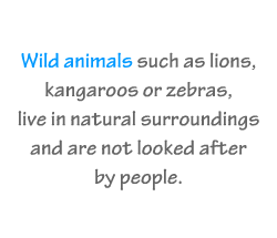 English vocabulary: Wild Animals