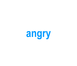 Flashcards: angry