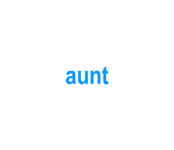 Flashcards: aunt