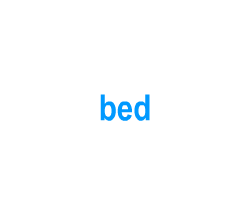 Flashcards: bed