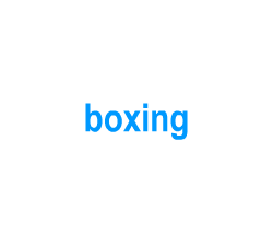 Flashcards: boxing