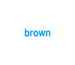 Flashcards: brown