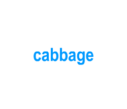 Flashcards: cabbage