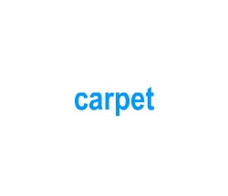 Flashcards: carpet