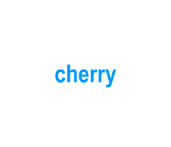 Flashcards: cherry