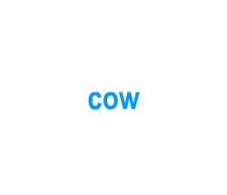 Flashcards: cow