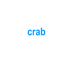 Flashcards: crab