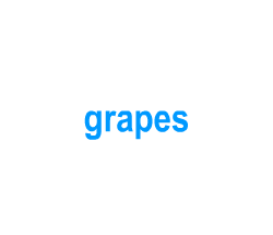 Flashcards: grapes