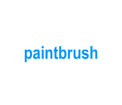 Flashcards: paintbrush