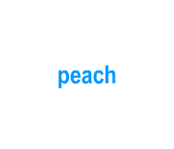 Flashcards: peach