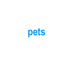 Flashcards: pets