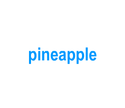 Flashcards: pineapple