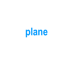 Flashcards: plane