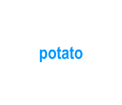 Flashcards: potato