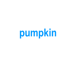 Flashcards: pumpkin