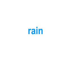 Flashcards: rain