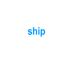 Flashcards: ship