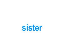 Flashcards: sister