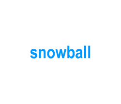 Flashcards: snowball