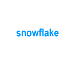 Flashcards: snowflake