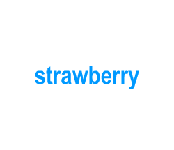 Flashcards: strawberry