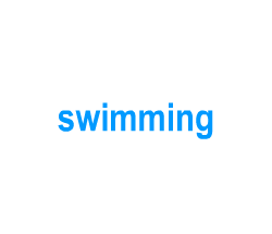 Flashcards: swimming