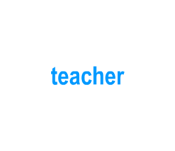 Flashcards: teacher