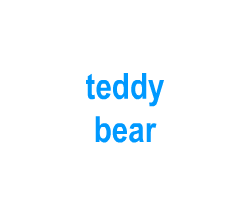 Flashcards: teddy bear