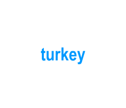 Flashcards: turkey