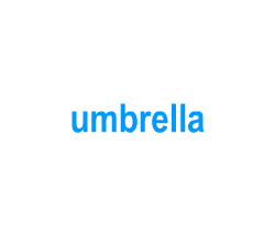 Flashcards: umbrella