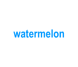 Flashcards: watermelon