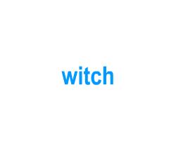 Flashcards: witch